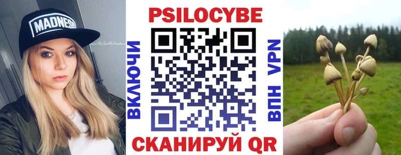 Галлюциногенные грибы Cubensis Тайшет